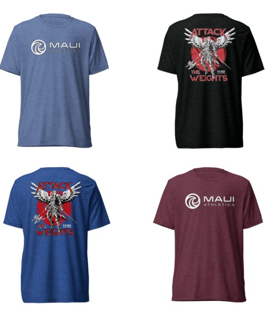 Valkyrie T - Ascendance