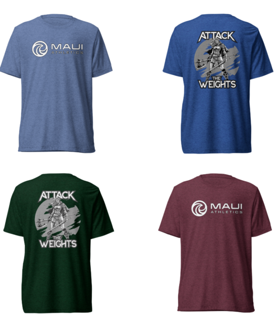 Valkyrie T - Anime 1